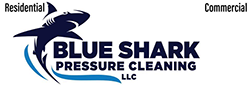 Blue Shark Pressure Cleaning