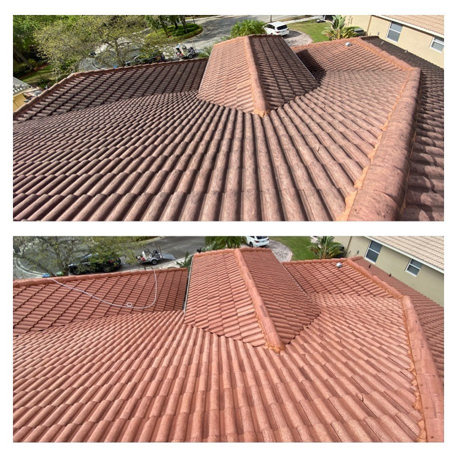 Roof Cleaning / Soft Washing