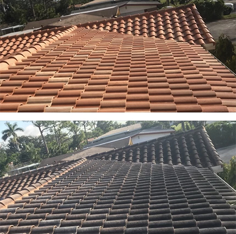 Cape Coral Roof Wash