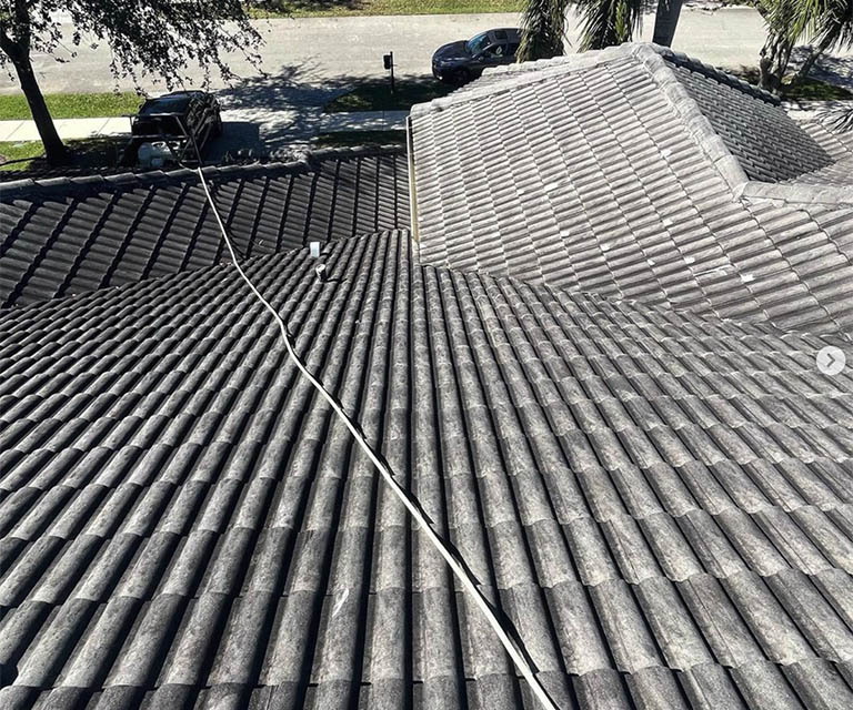 Blue Shark Roof Cleaning - Blue Shark Pressure Cleaning